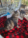Marbles - Photo 2