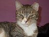 Max - Photo 2