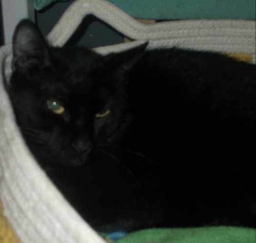 Photo 5 of Luna