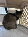 Bitter Blue - Photo 2