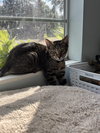 Keebler - Photo 1