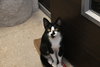 Ralph - Photo 3