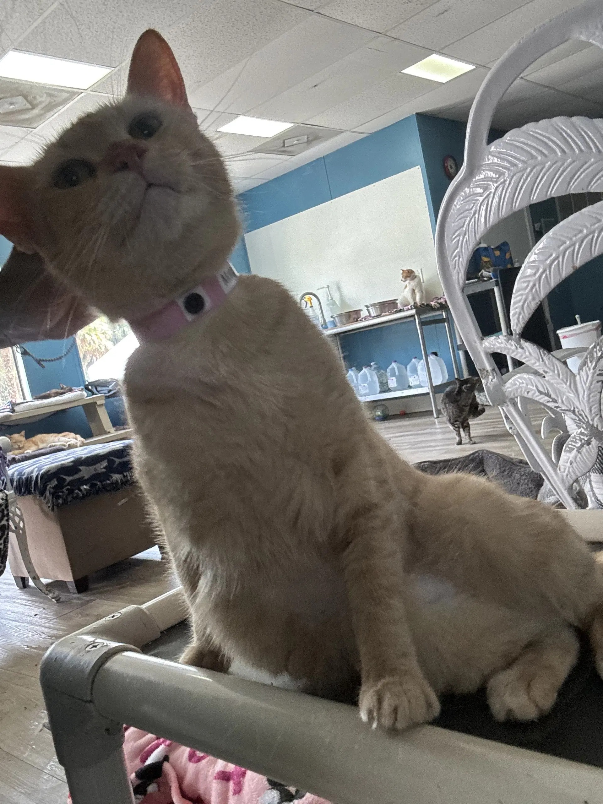 Margot image 2