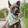adoptable Dog in whitestone, NY named Pope