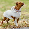 Mabel - Photo 4