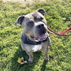 Phineas - Photo 4