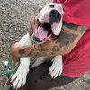 Tommy Talcum - Photo 4