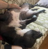 Moxie - Photo 2
