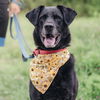 adoptable Dog in whitestone, NY named Jackrabbit