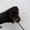 Tessa - Photo 2