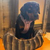 Tessa - Photo 4