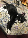White Socks - Photo 2