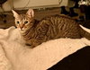 Tammy - Photo 4