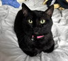 Bob - Photo 1