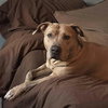 Sabrina - Photo 2