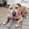 Sabrina - Photo 4