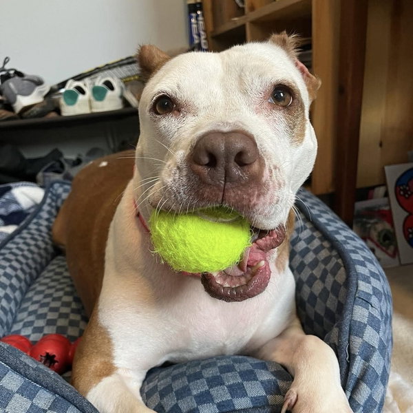 Tilly