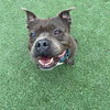 Mugsy - Photo 3