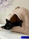 adoptable Cat in whitestone, NY named Sophie