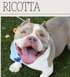 Ricotta - Photo 3