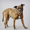 Zerega - Photo 1