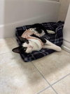 Hannah - Photo 4