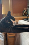Lucy Ann - Photo 2