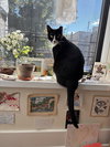 Lucy Ann - Photo 2