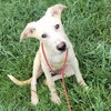 Slim Jim - Photo 4