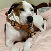 Candy - Photo 4
