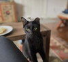 Coco - Photo 3
