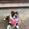 Pinkie - Photo 3