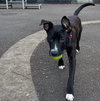 Rory - Photo 3