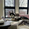 Koa - Photo 2
