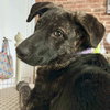 Brinley - Photo 2
