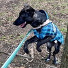 Brinley - Photo 4