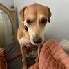 Sysy - Photo 4