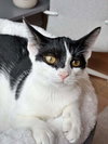 Candy - Photo 1