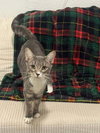 Patty - Photo 3