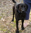 Clyde - Photo 2