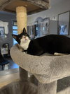Tony - Photo 2