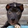 Melvin (p) - Photo 1