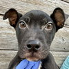 Melvin (p) - Photo 2