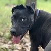 Melvin (p) - Photo 1