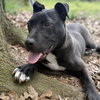 Melvin (p) - Photo 4