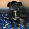 Mary Kate (p) - Photo 2