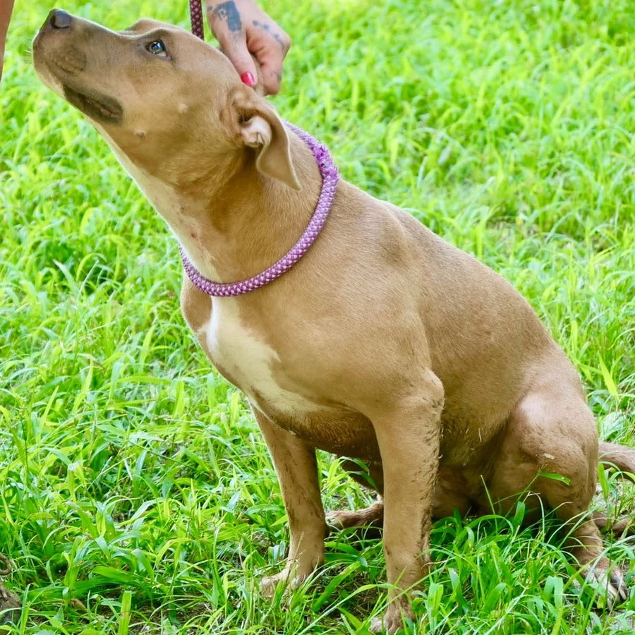 Etta