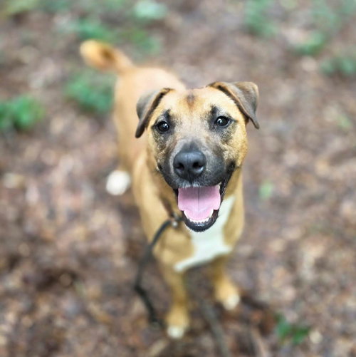 Sprocket photo 4