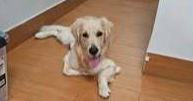 Patch
