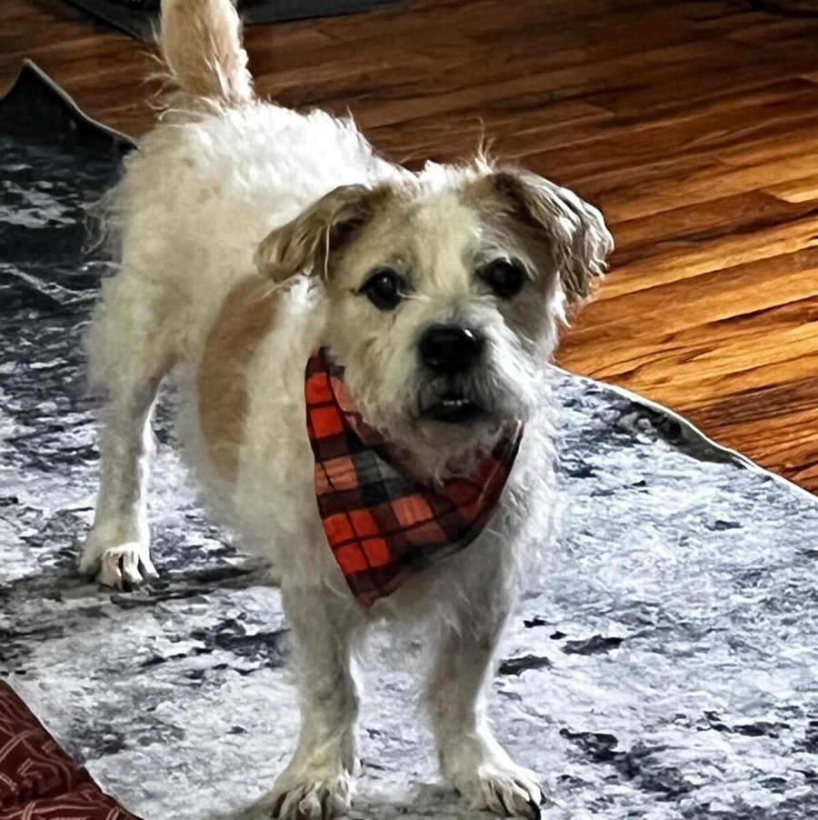 Malcolm